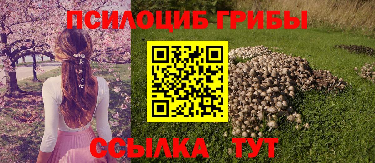 Галлюциногенные грибы ЛСД  Вход с VPN  наркота  Галлюциногенные грибы прущие грибы  Дзержинский 