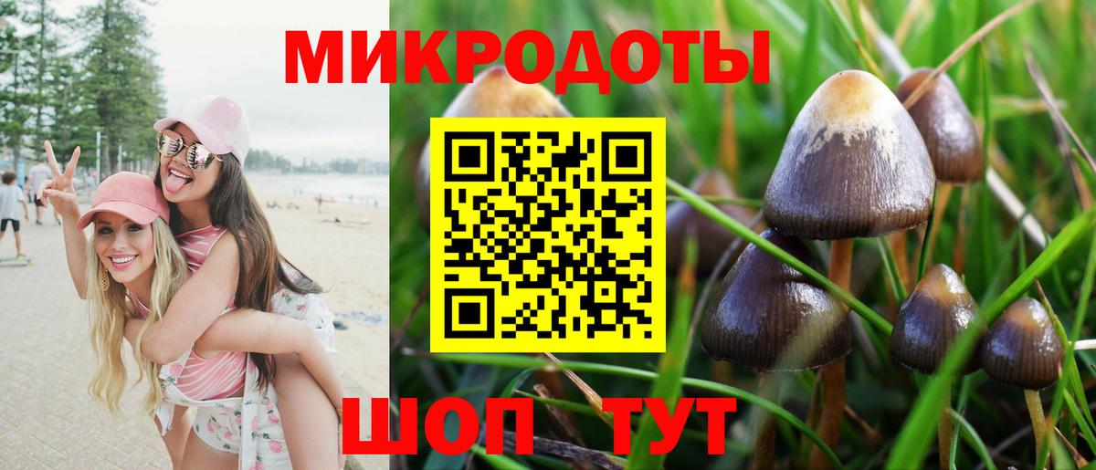 Псилоцибиновые грибы Psilocybe Дзержинский
